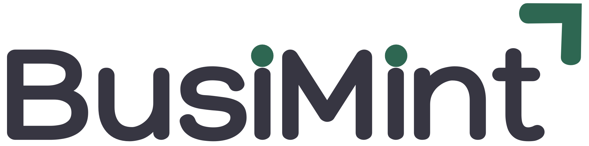busimint.com